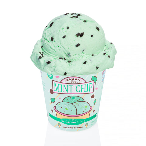 Mint Chip Scented Ice Cream Pint Slime